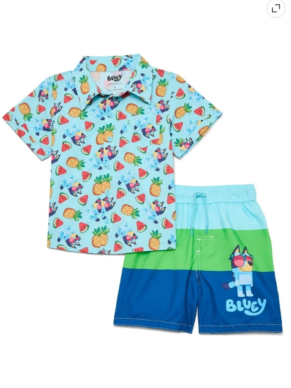 NWT boys Bluey swimming trunks with matching resort button up size 2t